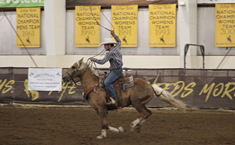 Little Pro Rodeo Summer season begins with Little Pokes Rodeo Series | News ...