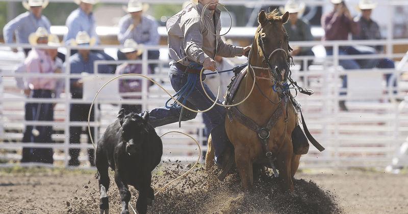 Watching Rodeo The ultimate guide to watching rodeo | Local News | wyomingnews.com