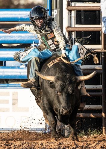 The Biggest Belts, Hats, and Logos We Saw at MSG's Bull-Riding