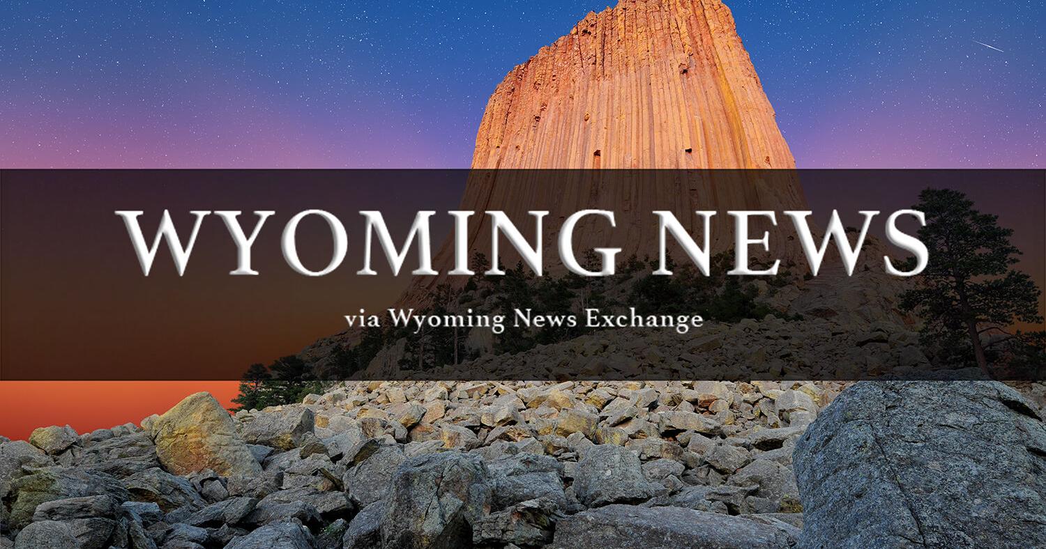 Library board moves book back to children's section - Vimarsana News