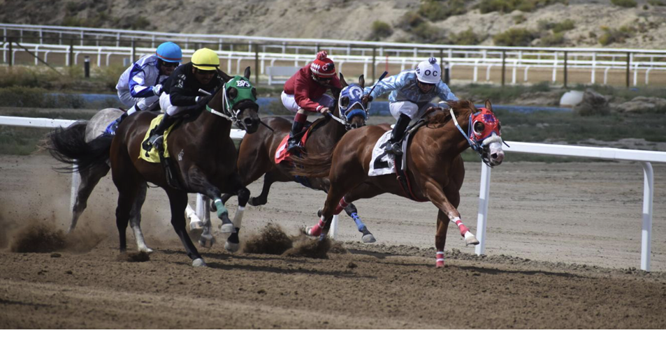 Wyoming Horse Racing plans Cheyenne 'entertainment center' Local News
