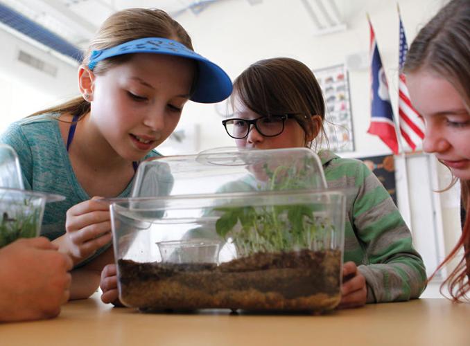 Cheyenne’s Meadowlark Elementary students hatch chickens as science