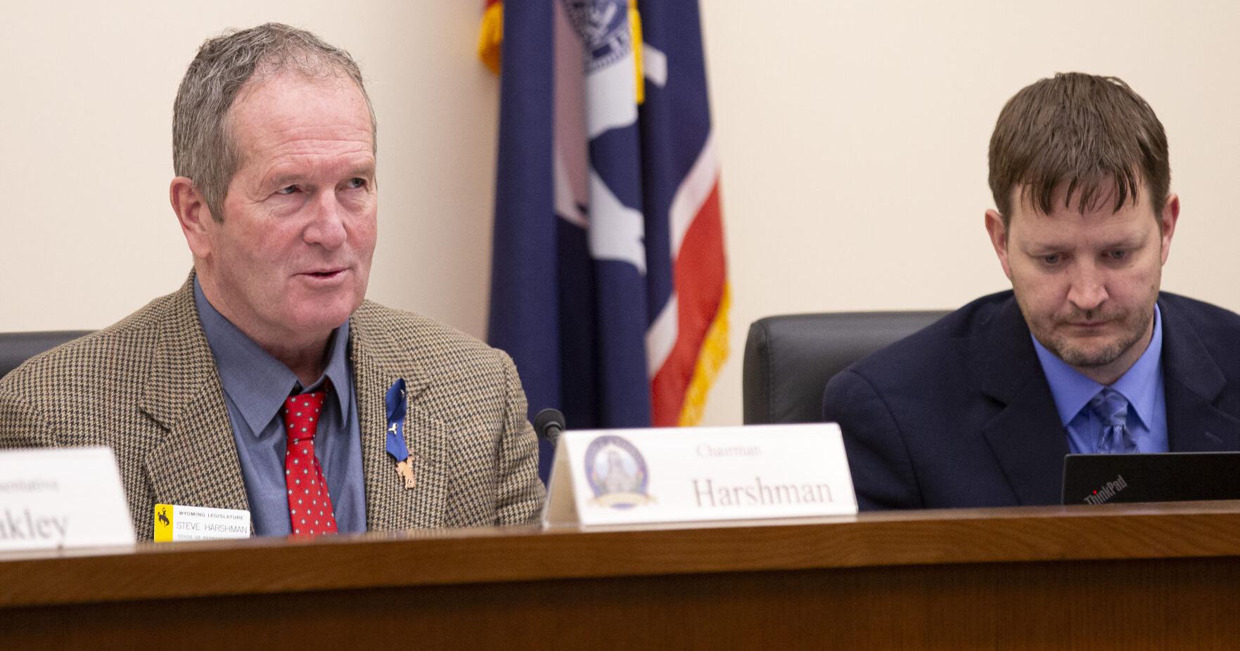 Wyoming lawmakers muddle through property tax issue - Vimarsana News
