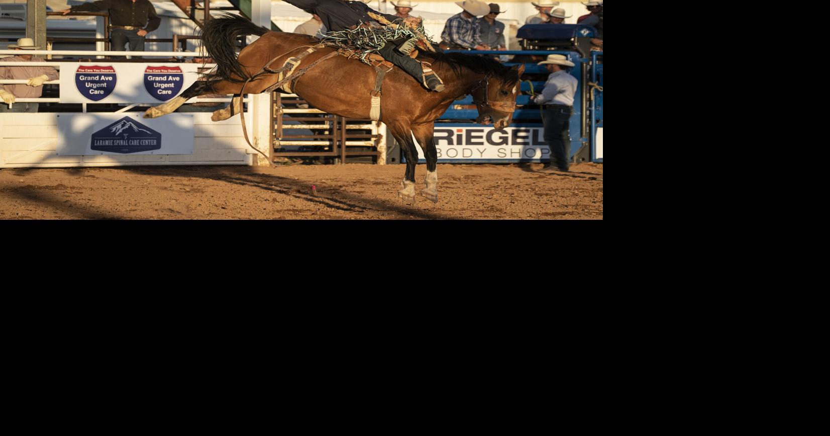 Rodeo and other animal enterprises protection bill defeated | News ...