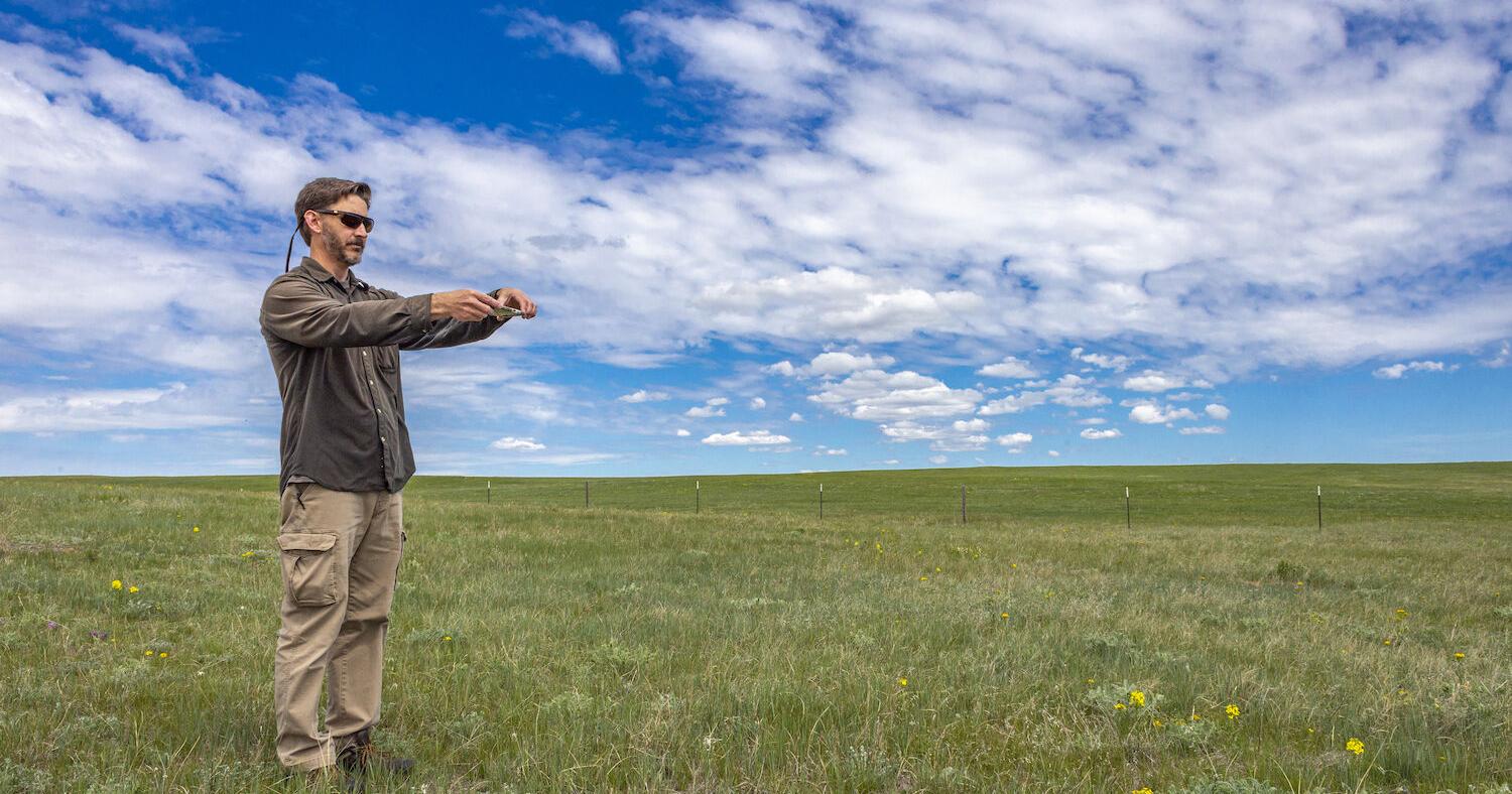UW Extension publishes guide for managing vegetation on small acreages - Vimarsana News