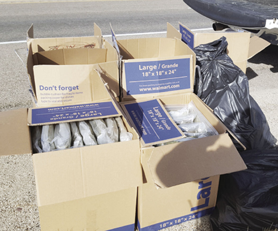 Sheriff S Office Seizes Nearly 0 Pounds Of Marijuana News Wyomingnews Com