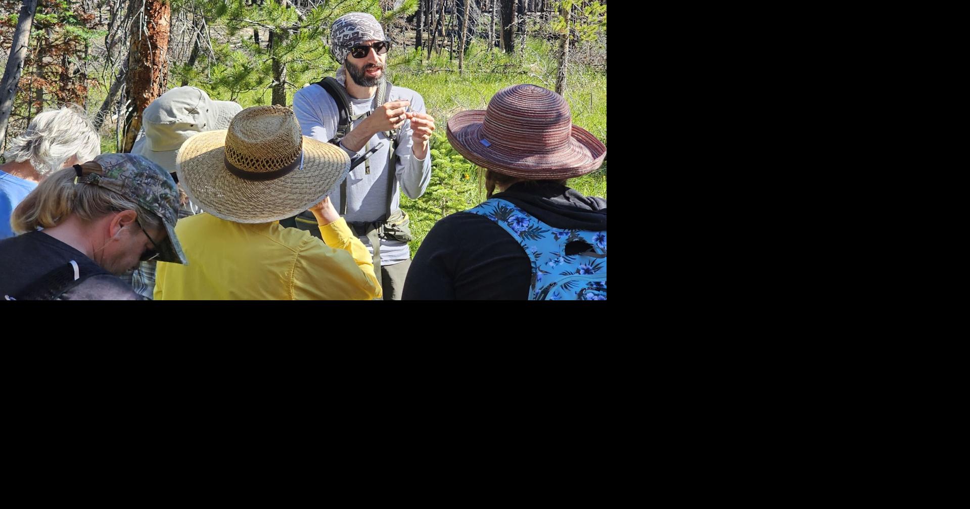 Mosey with native plant specialists in the mountains