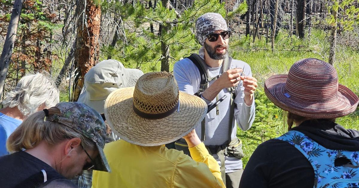 Mosey with native plant specialists in the mountains