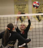 Central volleyball sweeps South