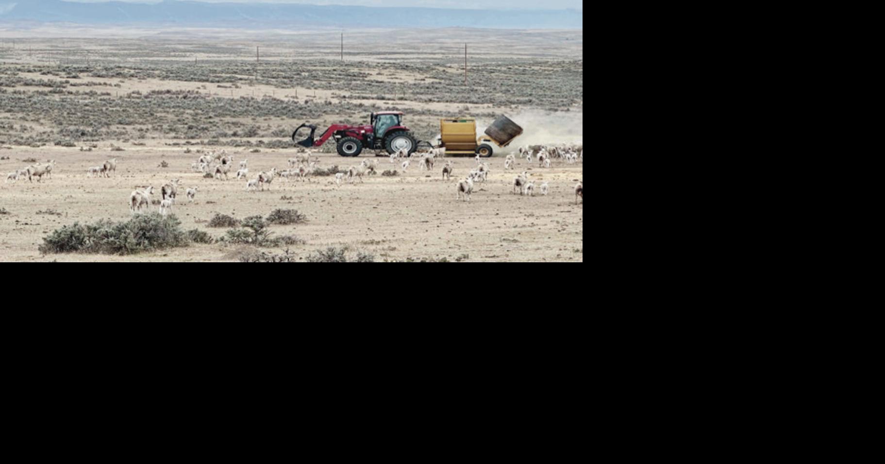 Historic drought hits Wyoming ag producers