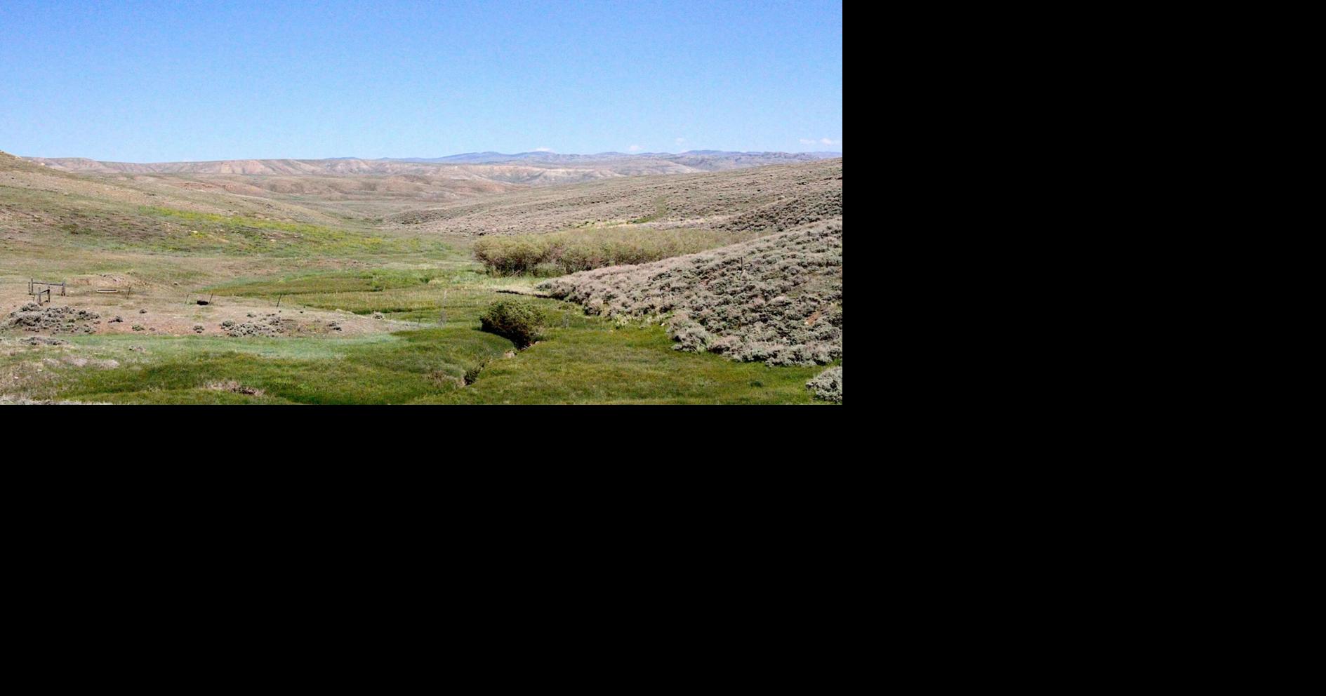 Drought delivers ‘worst case scenario' for fire scar recovery in Wyoming's Bighorn Basin
