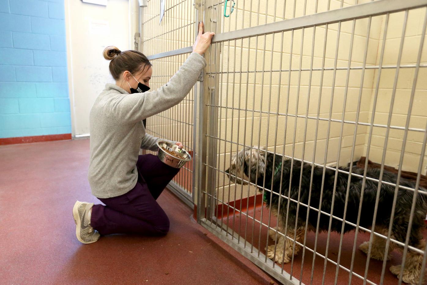 Laramie County Animal Shelter