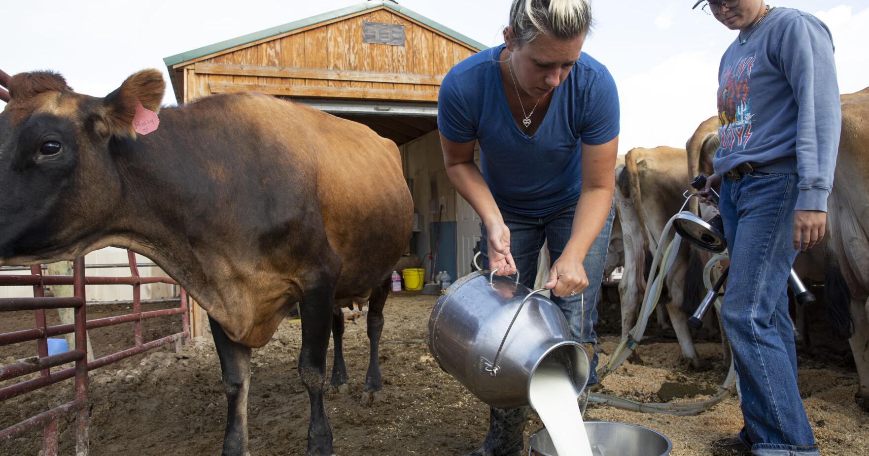 Ranching in the modern West is unforgiving, but the Whitt family is right where they want to be - Vimarsana News