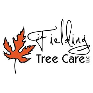 Fielding Tree Care Shares Insight on Spring Freeze Aftermath: How to Tell If Your Tree Is Actually Dead