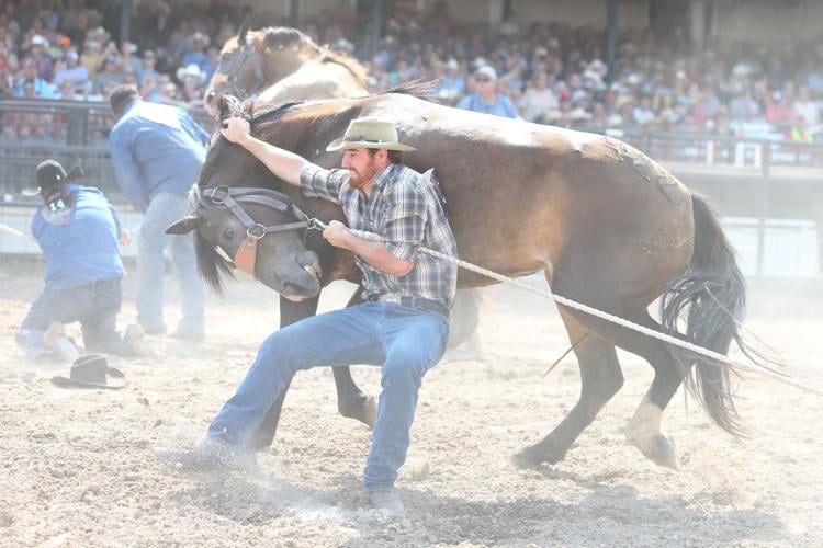 Wild horse racing produces a thrill | Cheyenne Frontier Days ...