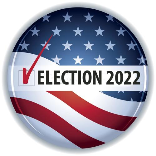 Election 2022 bug