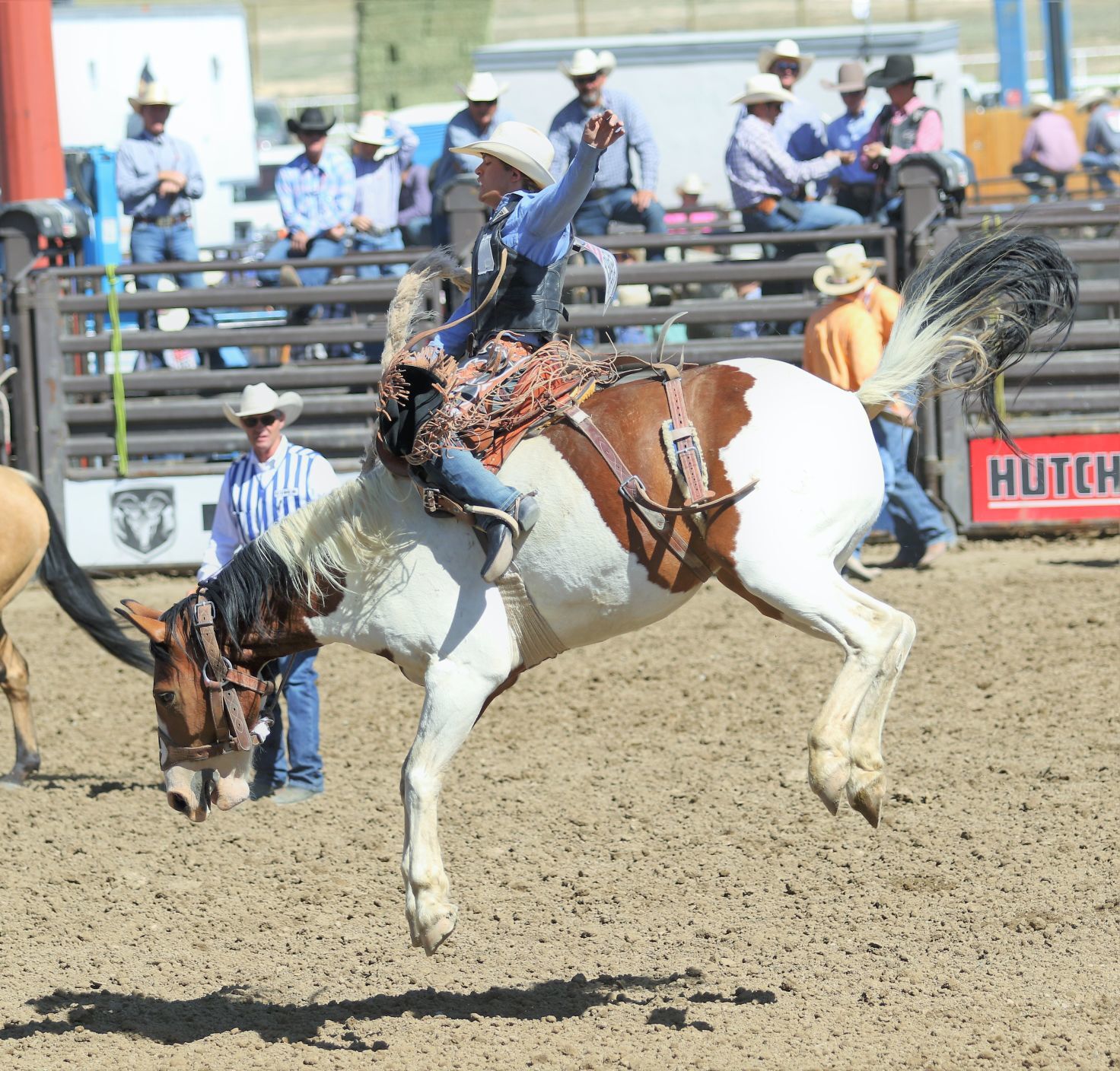 National High School Finals Rodeo results as of Thursday