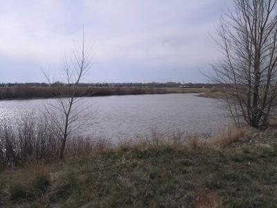 Pasture Pond at LCCC