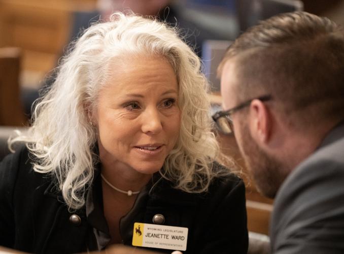 Casper representative wants to define gender in state statute Local