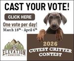 Cutest Critter Contest