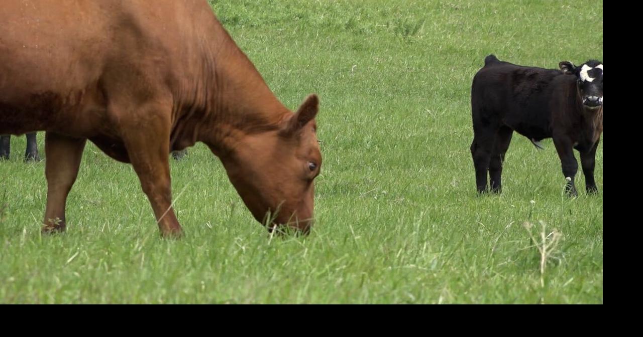 Laramie County ranked #2 for agricultural production within the state