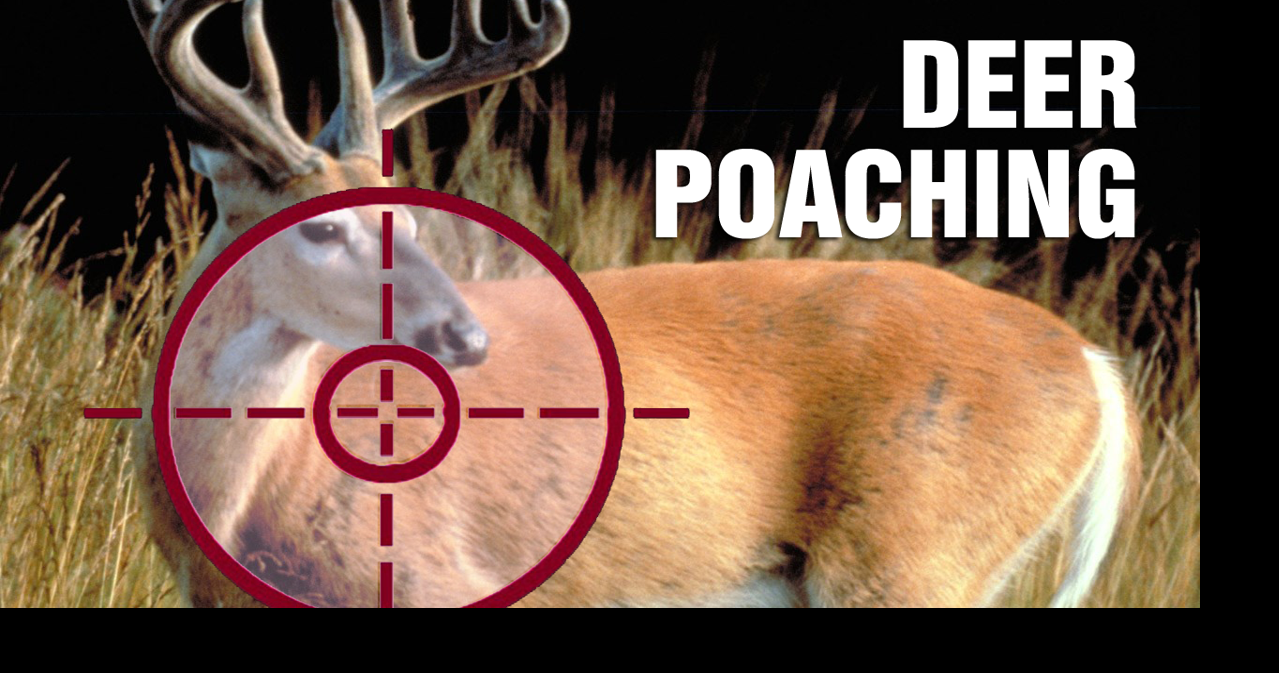 Wyoming man charged with poaching more than 100 deer | Crime ...