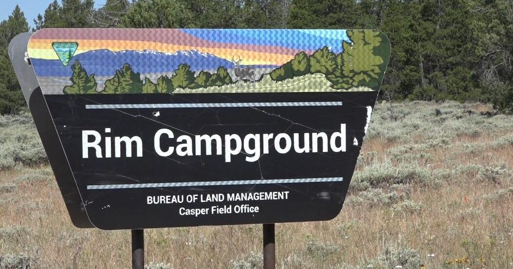 One black bear euthanized following brief closure at Rim Campground