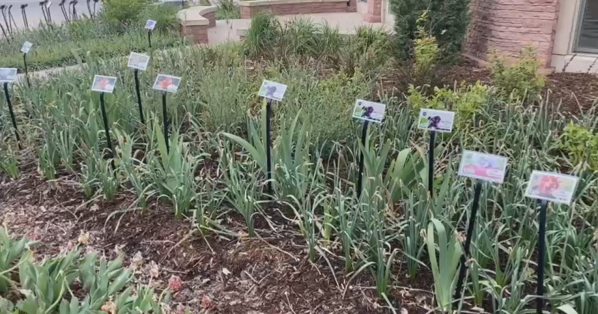Wyoming gardening tips in late spring May 19, 2026 19 mins ago
