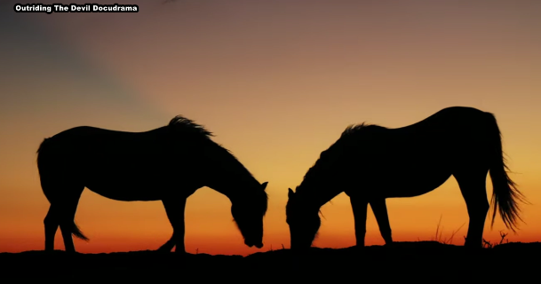 New movie to be premiered at CNFR