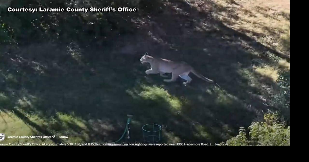 WATCH: Game and Fish speak on wildlife seen in Laramie County/Cheyenne ...