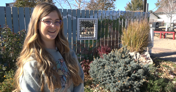 New Growing Mural of Wyoming Wildlife