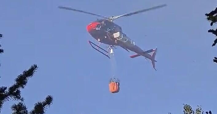 Uinta County fire crews make quick work of forest fire