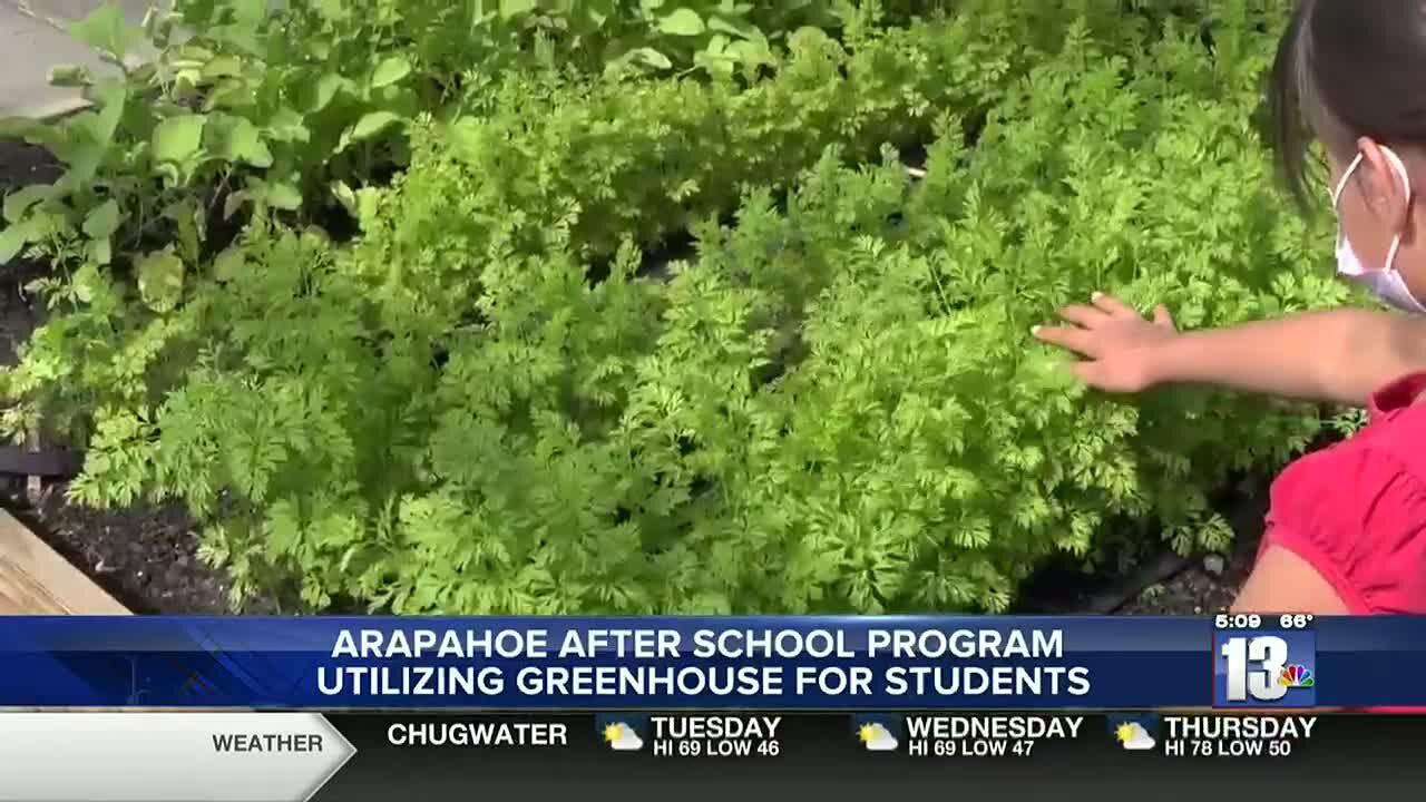 Arapahoe Schools fill greenhouse with fresh produce for students to