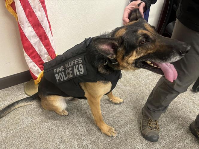 PINE BLUFFS K9 VEST 3