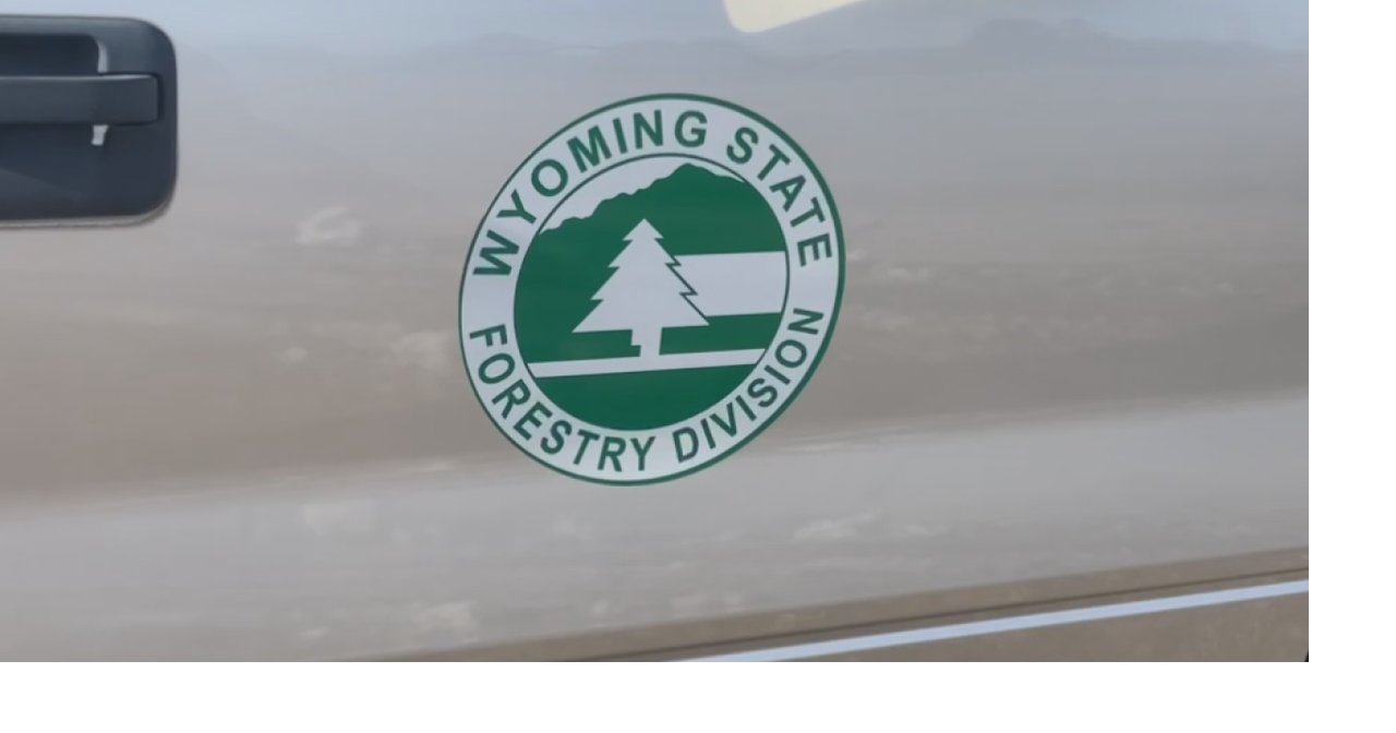 Wyoming State Forestry Division's impact on wildfire management