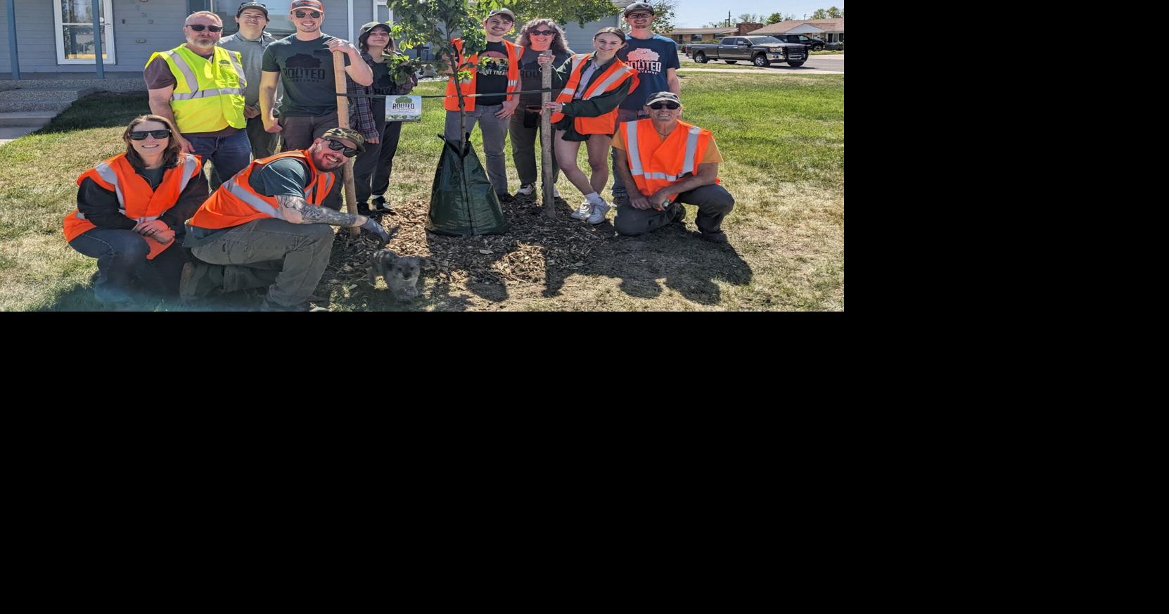 Wyoming Urban and Community Forestry Cost Share Grants are now open