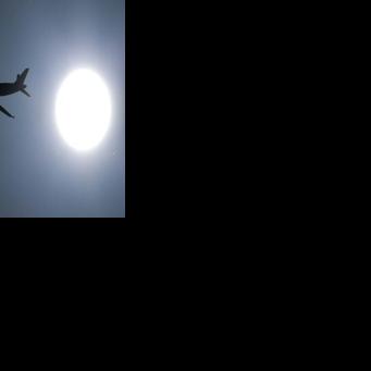 Airbus profits slide as deliveries drop | National | wyomingnewsnow.tv