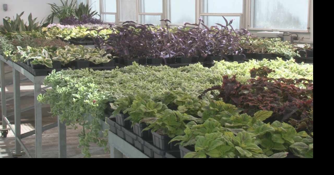 Botanic Gardens First Greenhouse Tour