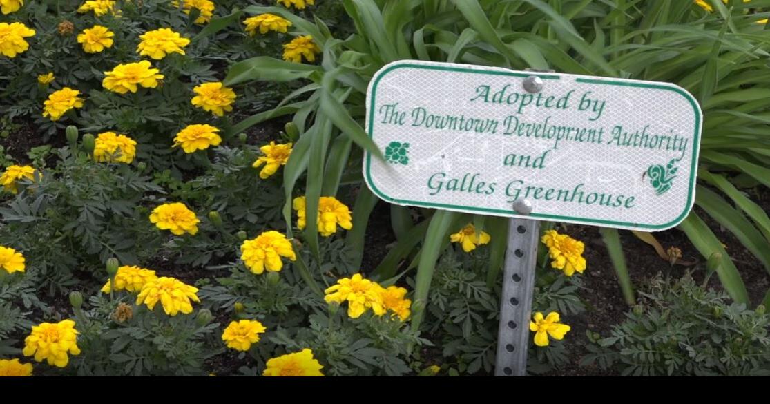 Local greenhouse helps keep downtown Casper vibrant Casper