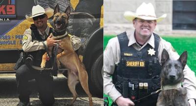 Laramie County Sheriff's Office K9s get new body armor