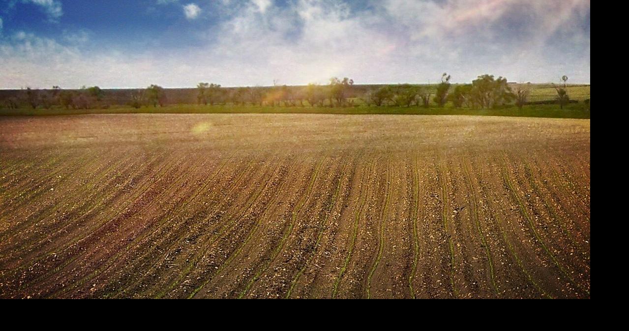 Governor Gordon announces completion of Cowboy State Agriculture Initiative final report