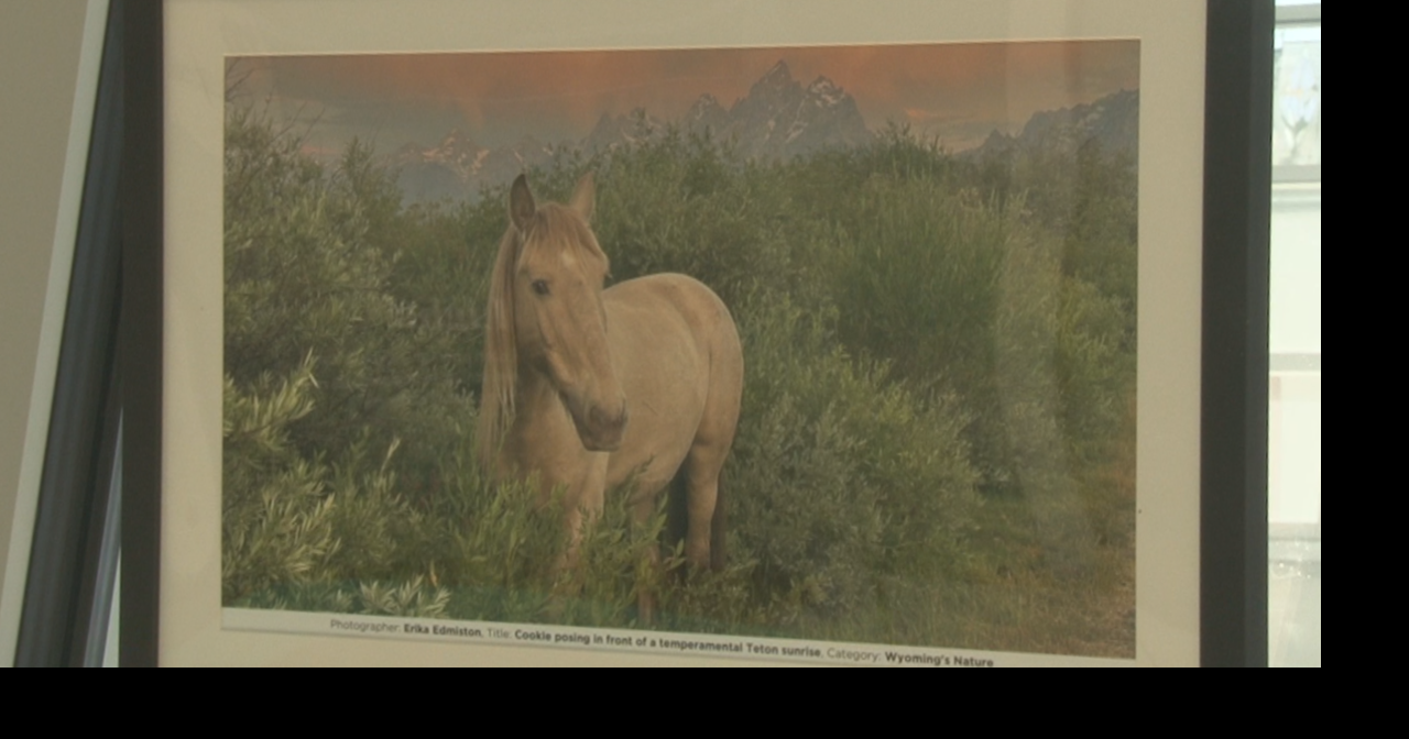 Wyoming public media traveling display