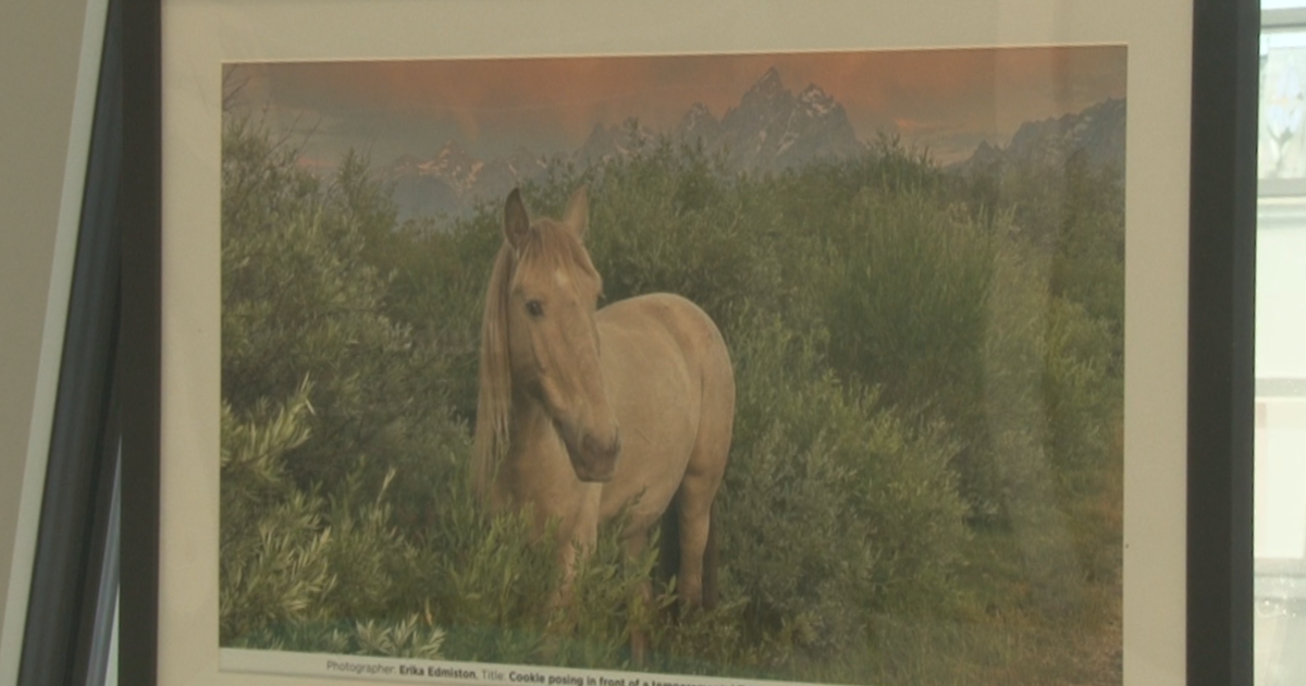 Wyoming public media traveling display