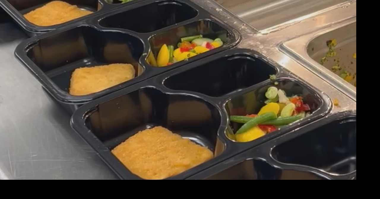 LCSD1 Makes Meals on Wheels Delivery Bag Art