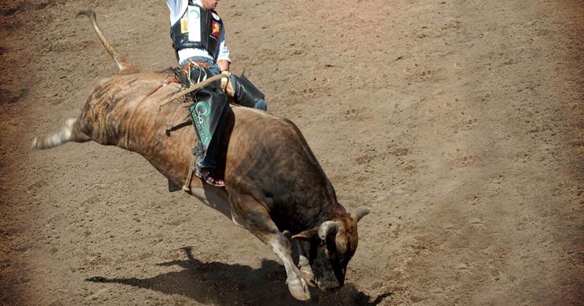 Hurt Bull Rider PBR bull rider recovering after injury and surgery | News ...