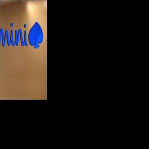 French IT group Capgemini under fire over ICE links