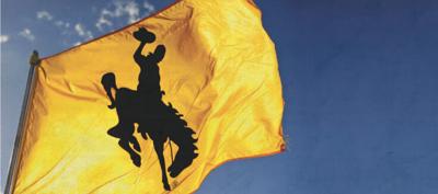 University of Wyoming Logo Flag