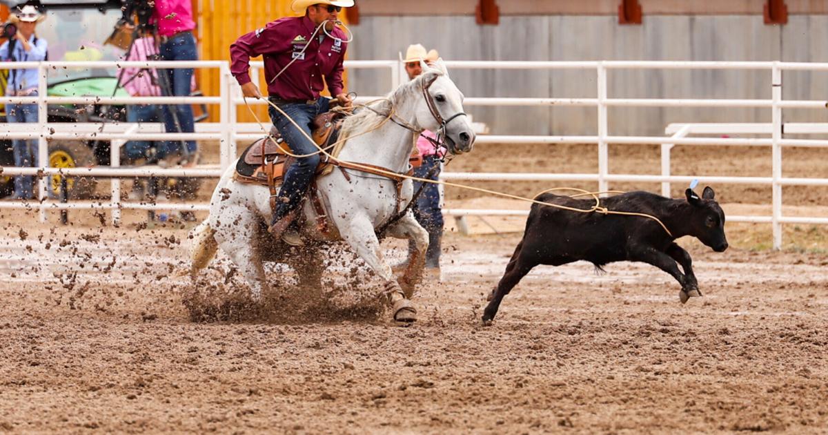 Cheyenne Frontier Days concludes successful 2025 celebration