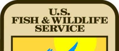 Former Wyoming Game and Fish Director nominated for top federal job