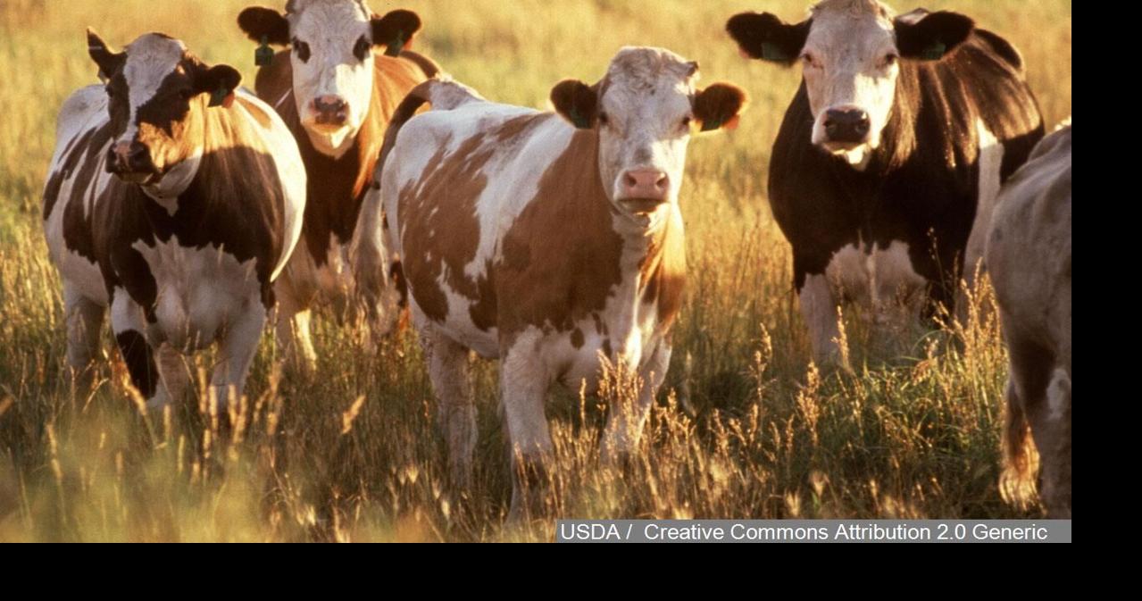 Disaster relief established for Nebraska ranching families affected by Morrill Fire